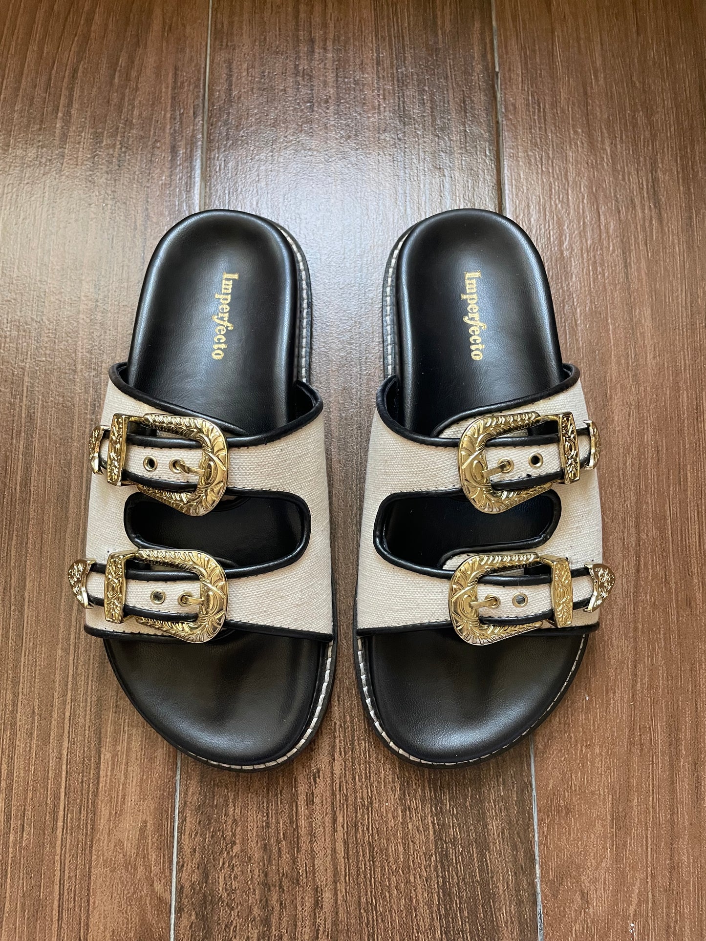 Canvas Swifty Black - Gold Buckle