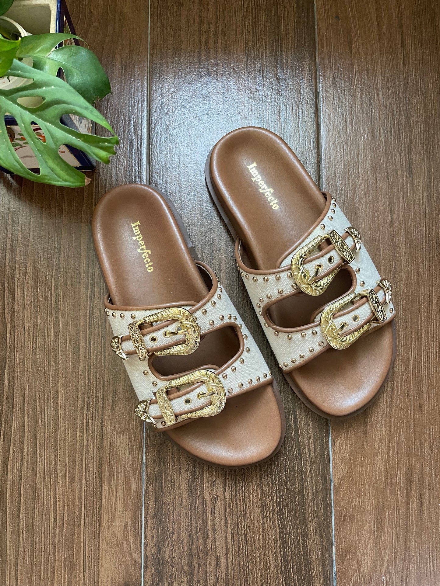 Canvas Swifty Tan - Gold Buckle