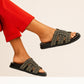 Olive Coco Slider